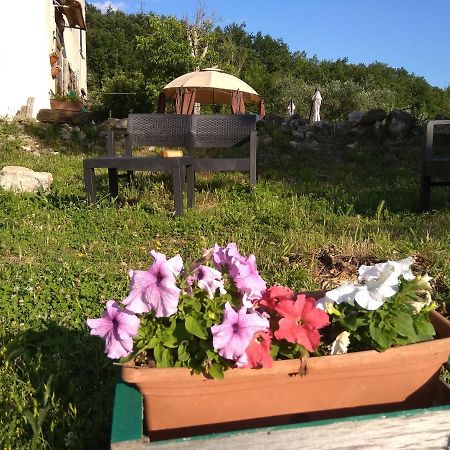 la masseria di Antonio e Teresina Colli a Volturno Esterno foto