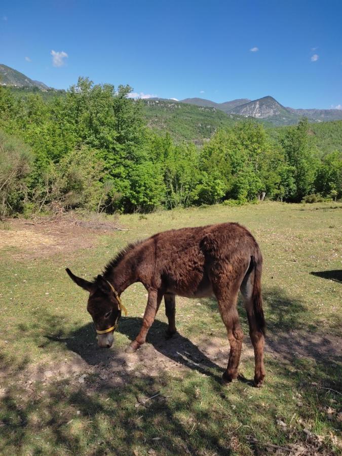 la masseria di Antonio e Teresina Colli a Volturno Esterno foto