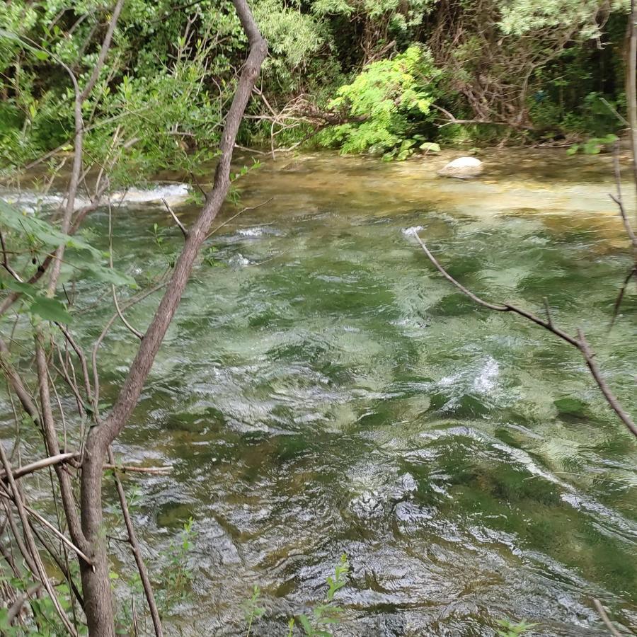 la masseria di Antonio e Teresina Colli a Volturno Esterno foto