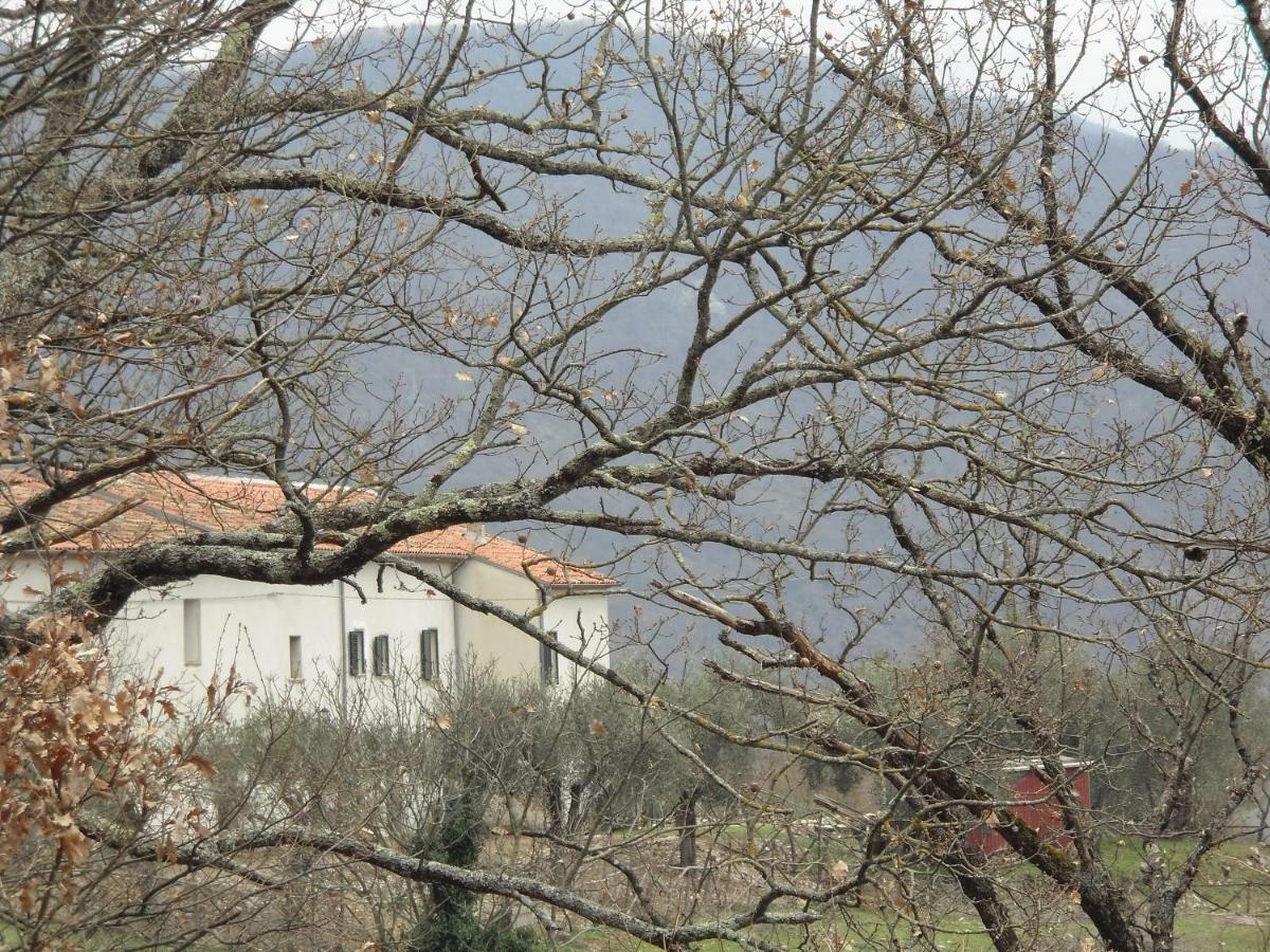la masseria di Antonio e Teresina Colli a Volturno Esterno foto