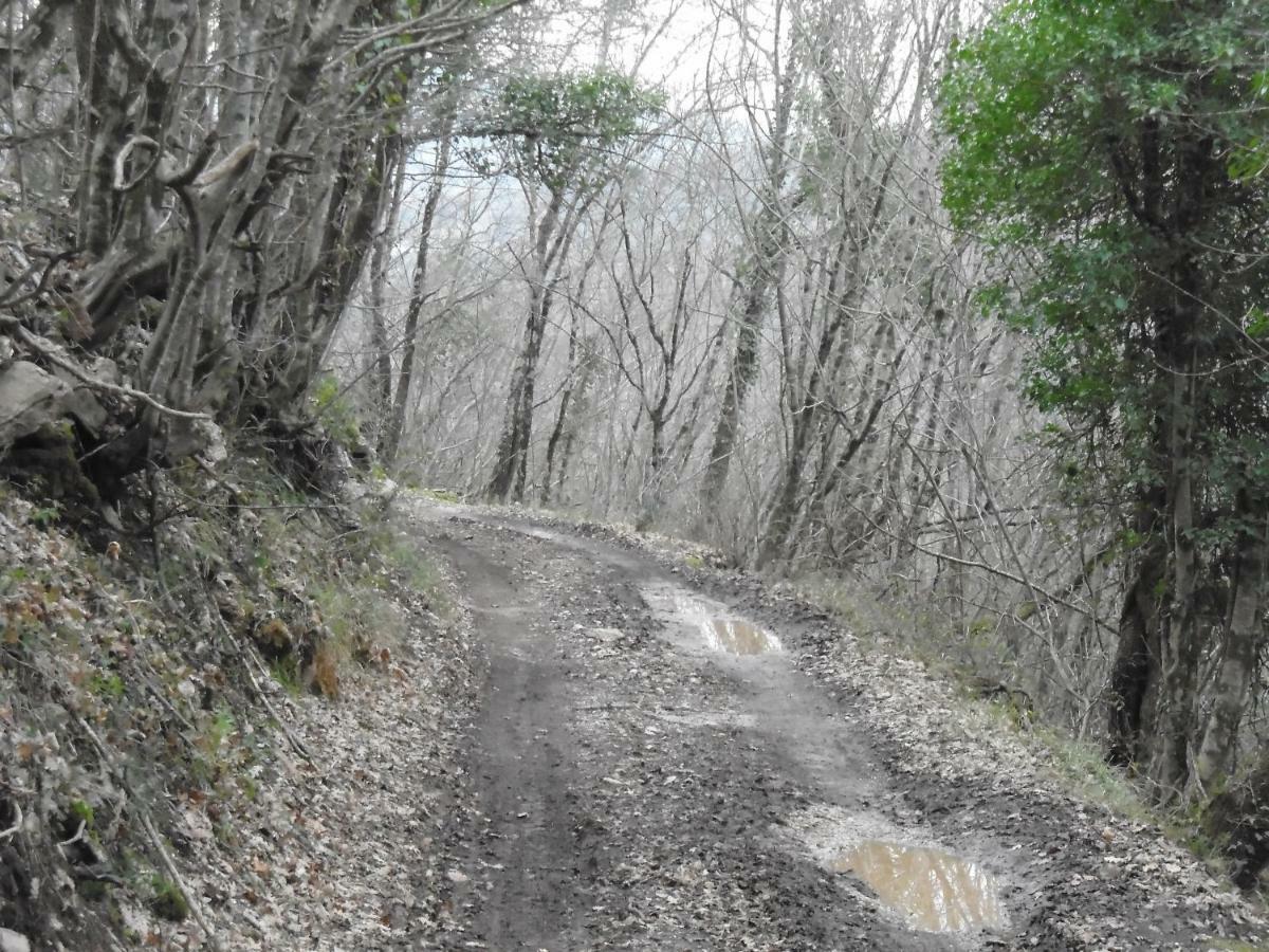 la masseria di Antonio e Teresina Colli a Volturno Esterno foto