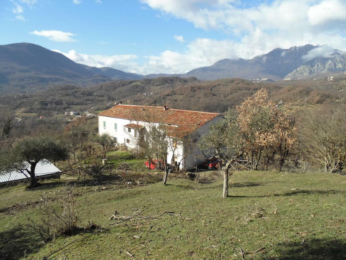 la masseria di Antonio e Teresina Colli a Volturno Esterno foto