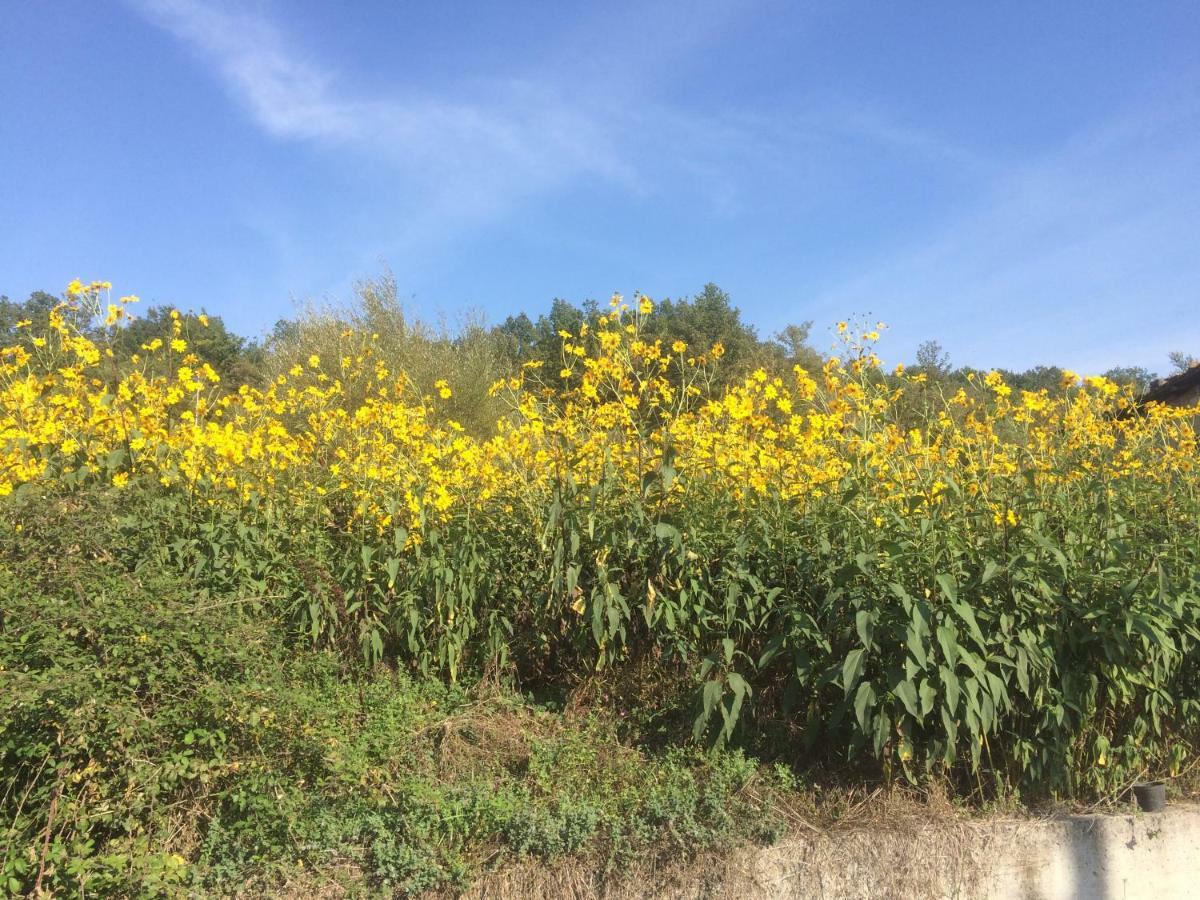 la masseria di Antonio e Teresina Colli a Volturno Esterno foto
