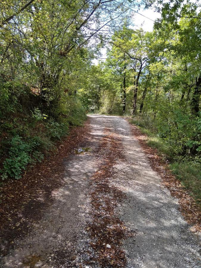 la masseria di Antonio e Teresina Colli a Volturno Esterno foto